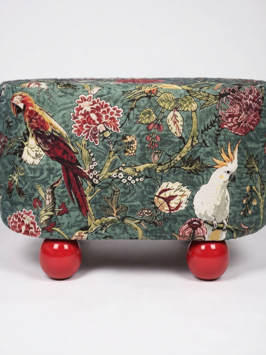 Exotic Bird