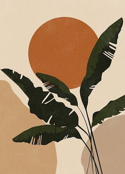 Sun Roots